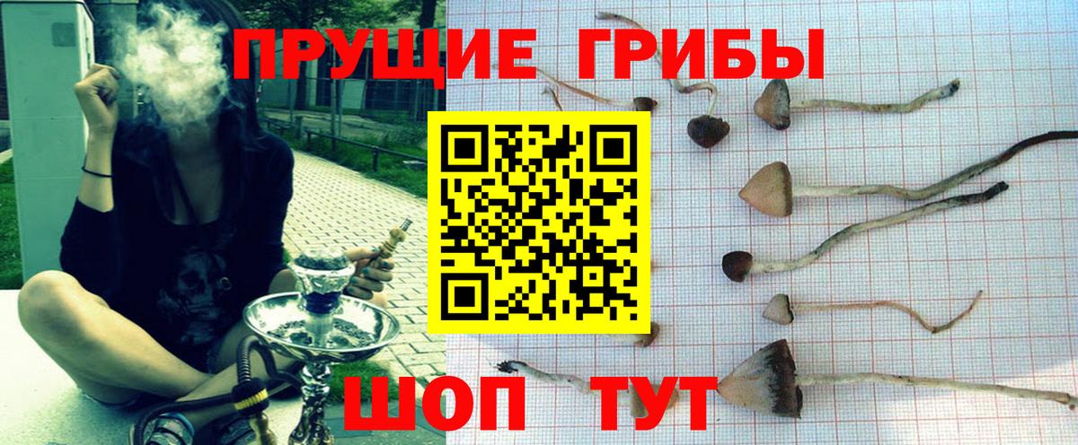 Галлюциногенные грибы Cubensis Мариинск