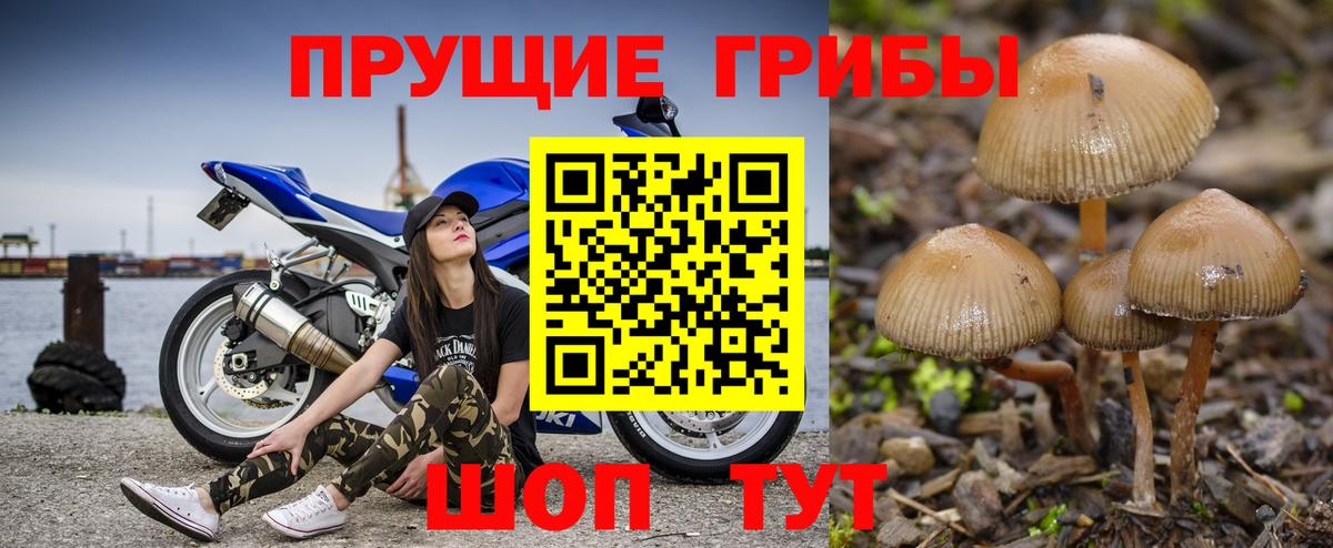 Псилоцибиновые грибы ЛСД  Псилоцибиновые грибы Cubensis  Вход с VPN  Мариинск 